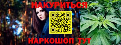 индика Можайск