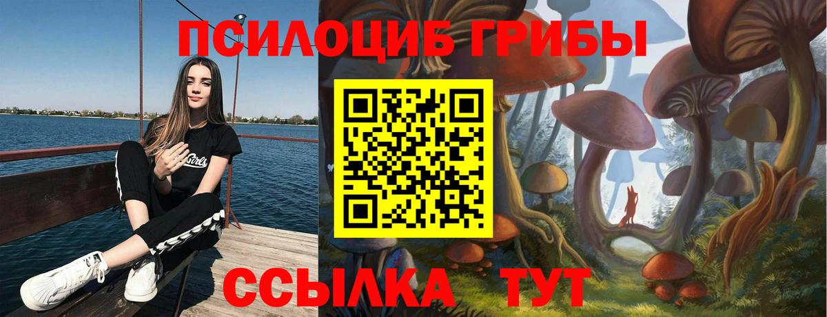 Галлюциногенные грибы Magic Shrooms Сарапул